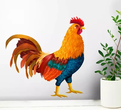 Курица иллюстрация, цыпленок, веб-дизайн, нарисованный, животные png |  PNGWing