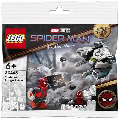 Конструктор LEGO DC Super Heroes Человек-Паук и Призрачный Гонщик против  Карнажа 76173 купить по цене 10190 ₸ в интернет-магазине Детский мир
