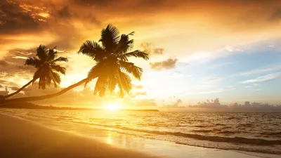 Море Солнце Лето - Бесплатное фото на Pixabay - Pixabay