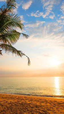 Пляж Пейзаж Море Солнце Небо И Облака Абстрактный Фон Лето — стоковая  векторная графика и другие изображения на тему 2015 - iStock