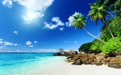 Лето, море, пляж,чистое небо, яркое…» — создано в Шедевруме