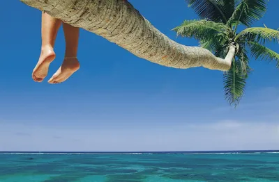 Фото обои 3D лето море пляж 368x254 см (11593P8)+клей (ID#1543441076),  цена: 1200 ₴, купить на Prom.ua