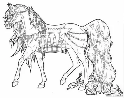 Картинки лошадей для раскрашивания