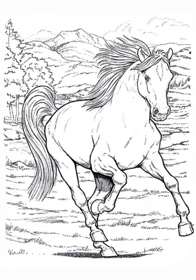 Раскраска Американская верховая лошадь | Американская верховая,  Американская верховая лошадь, Раскраски