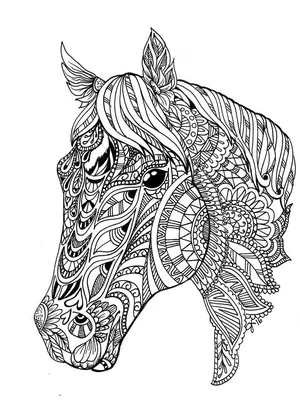 Лошади и пони красивая страница чрезвычайно легкие листы для раскраски |  Премиум Фото