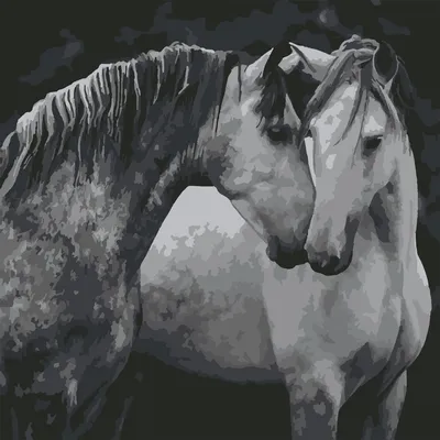 Раскраска Конь | Раскраски лошадей. Раскраски лошадок и коней