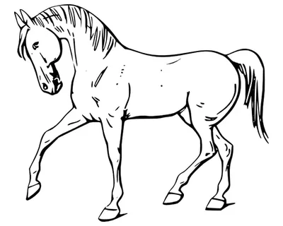 Милая раскраска с лошадью Антистрессовые раскраски и шаблоны для детей  бесплатно скачать!