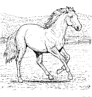 Лошадь рисунок для раскрашивания - 70 фото
