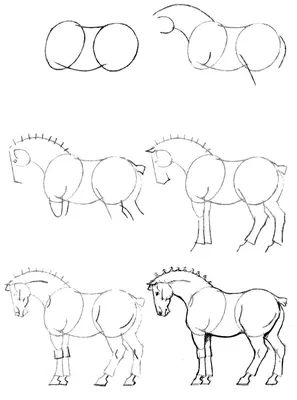 Рисунки для срисовки поэтапно лошади - 44 фото