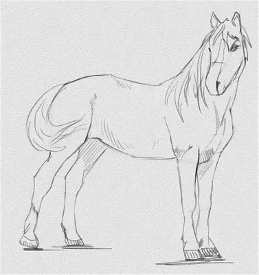 Простые рисунки лошадей для срисовки - 35 фото
