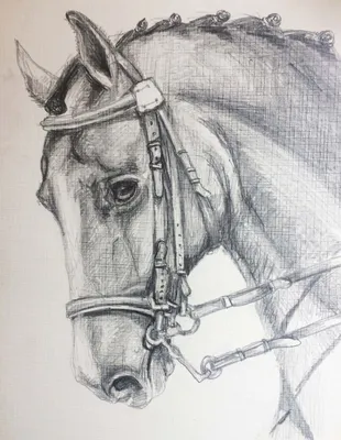 Как нарисовать лошадь | Рисование для детей | рисунки для срисовки легкие  для девочек мальчиков - YouTube