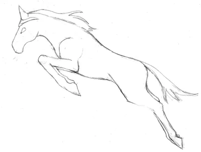 100 рисунков лошадей для срисовки » Dosuga.net — Сайт Хорошего Настроения