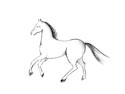Лошадь карандашом для срисовки легкие (Много фото!) - drawpics.ru