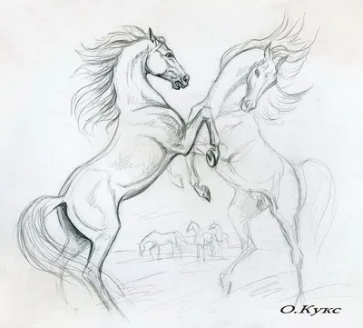 Идеи для срисовки легкие лошадки (90 фото) » идеи рисунков для срисовки и  картинки в стиле арт - АРТ.КАРТИНКОФ.КЛАБ