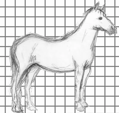 Картинки Лошадей Для Срисовки Легкие – Telegraph