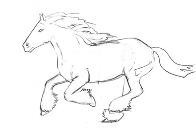 Рисунки лошадей для срисовки - 81 фото