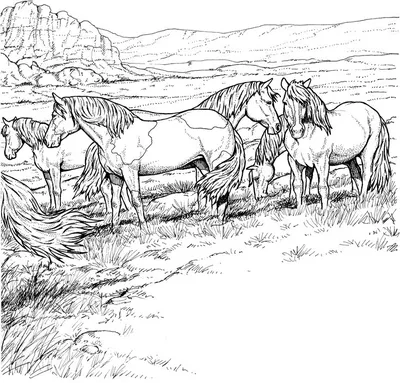 Красивые картинки для срисовки карандашом лошади или пони