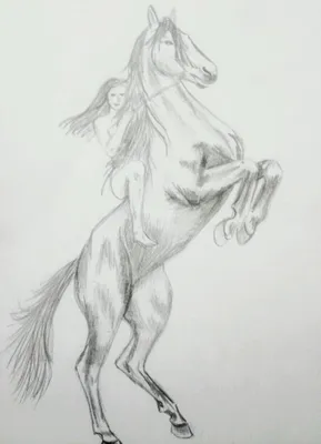 Лошадь рисунок легкий для срисовки - 47 фото
