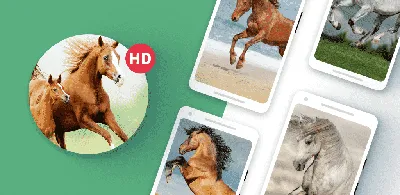 Топ 5 игр про лошадей на телефон - YouTube