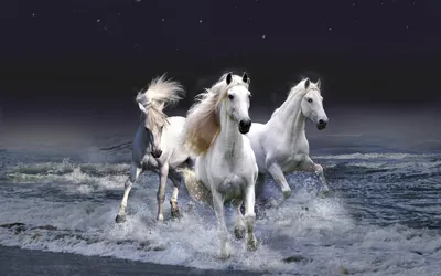 Мобильный телефон Android, Horse Creative, лошадь, животные, китайский  стиль png | Klipartz