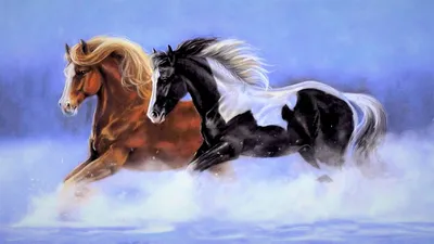Desktop Horse Room 1080p Мобильные телефоны, конь, лошадь, животные,  комната png | PNGWing