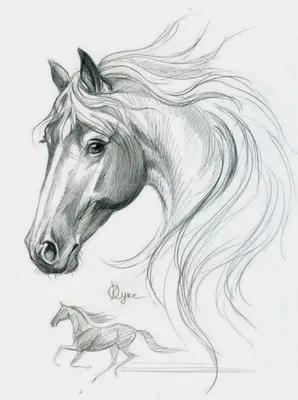 Картинки лошадей нарисованные карандашом