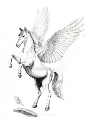Лошадь с крыльями и рогом рисунок - 64 фото