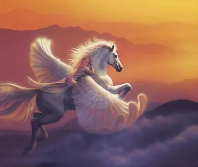 Unicorn Horse Safari Ltd Игрушка Пегас, Единорог, лошадь, вымышленный  персонаж, пегас png | PNGWing