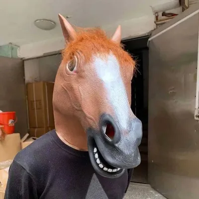 Смешные лошади на фото - Мой Конь