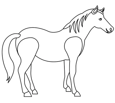 Раскраска лошадь | Детские раскраски, распечатать, скачать