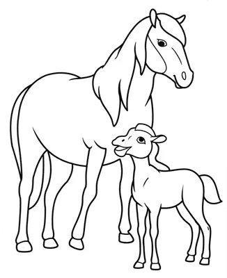 Раскраска «Табун лошадей»