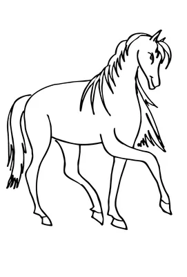 Раскраски для детей и взрослых хорошего качестваРаскраска лошадь для детей  - Раскраски для детей и взрослых хорошего качества