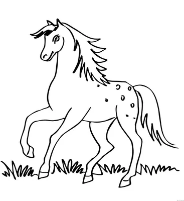 Раскраска Лошадь на дыбах распечатать или скачать