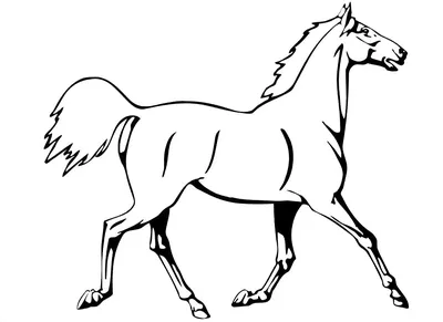 Раскраски Лошадь с одеждой (27 шт.) - скачать или распечатать бесплатно  #12610