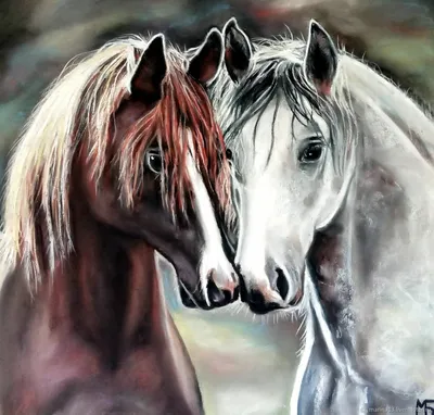 Картина на холсте интерьерная \"лошадь лошади красивые фотографии лошадей  черная животные\" 20x30 вертикально интерьерная картина в комнату на стену в  спальню - купить по низкой цене в интернет-магазине OZON (596607203)