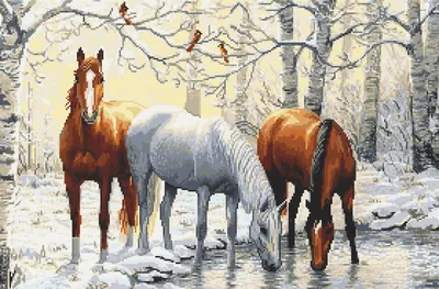 Как ухаживать за лошадьми зимой - Парк природи Беремицьке