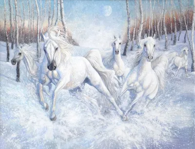Портрет белой лошади зимой | Премиум Фото