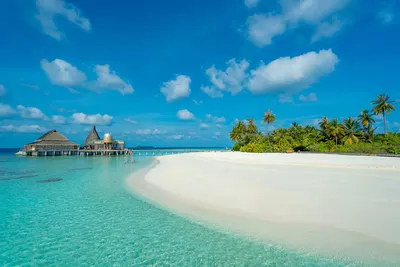 Мальдивы 🏖 фото пляжей 2023: биолюминесцентные, красивые и светящиеся