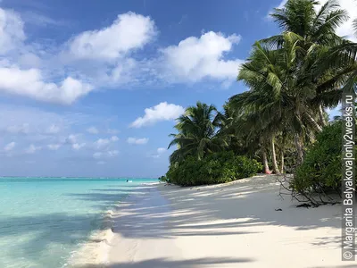 Лучшие пляжи Мальдив: 21 место с потрясающим побережьем