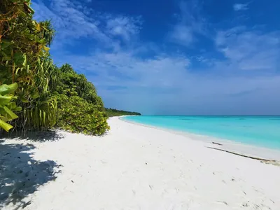 Крымские Мальдивы – миф или реальность (сравниваем пляжи и делимся личным  опытом) | only2weeks - путешествия | Дзен