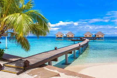 Мальдивы, пляж у океана, красивая …» — создано в Шедевруме