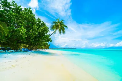 Мальдивы - это райский архипелаг в Индийском океане