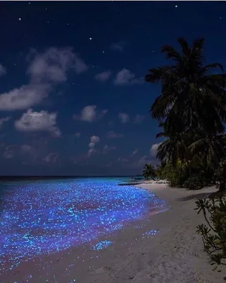Лучшие пляжи Мальдив - 75 фото