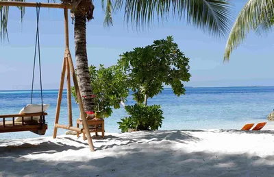 Какой остров выбрать на Мальдивах с хорошим пляжем – Планета Топ