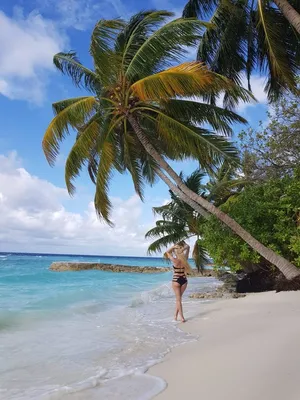 Пляж на Оке «Серпуховские Мальдивы», Серпухов — фото, адрес, как проехать,  цена, кафе, можно ли купаться
