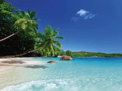 пляж Мальдивы стоковое изображение. изображение насчитывающей подныривание  - 10385153