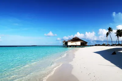 Красивые Мальдивы Пляж И Морской Пейзаж — стоковые фотографии и другие  картинки Мальдивы - Мальдивы, Пляж, Пляжная хижина - iStock