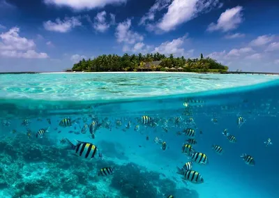 Пляж на Оке Серпуховские Мальдивы | отзывы