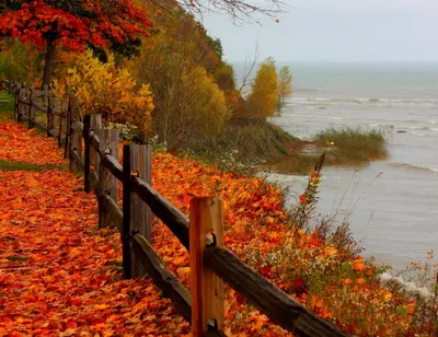 Осеннее море 🌊 | Водная фотография, Осенние фотографии, Путешествия