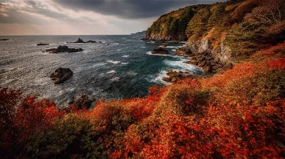 ФОТОФАКТ: Осень на Минском море